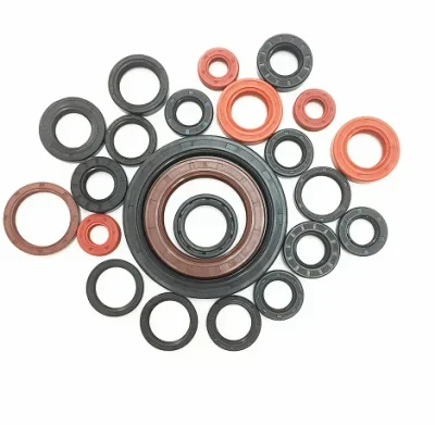 איטום גומי EPDM HNBR ניאופרן סיליקון גומי-שלד שמן